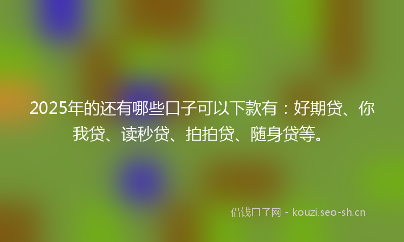 2025年的还有哪些口子可以下款有：好期贷、你我贷、读秒贷、拍拍贷、随身贷等。