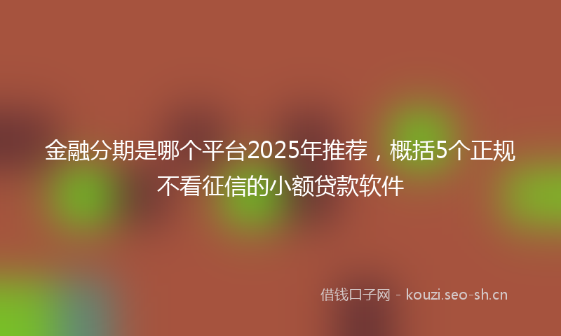金融分期是哪个平台2025年推荐，概括5个正规不看征信的小额贷款软件