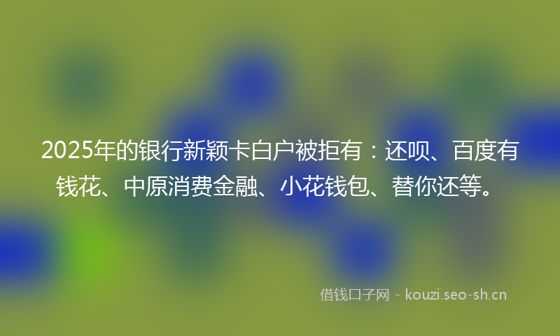 2025年的银行新颖卡白户被拒有：还呗、百度有钱花、中原消费金融、小花钱包、替你还等。