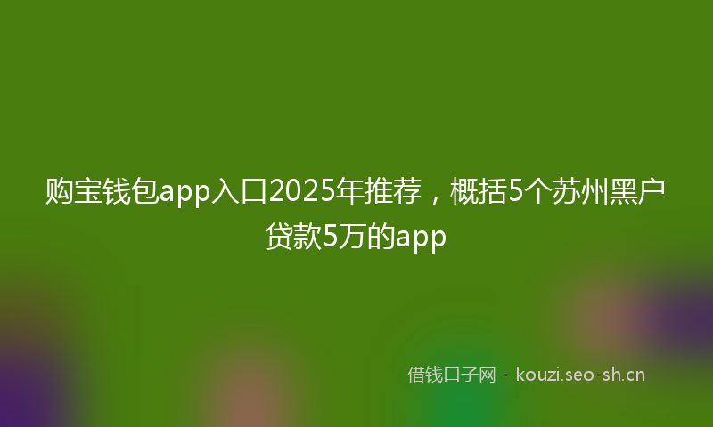 购宝钱包app入口2025年推荐，概括5个苏州黑户贷款5万的app