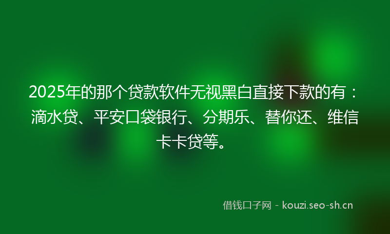 2025年的那个贷款软件无视黑白直接下款的有：滴水贷、平安口袋银行、分期乐、替你还、维信卡卡贷等。