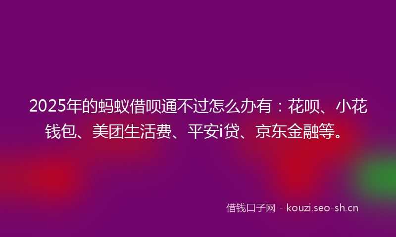 2025年的蚂蚁借呗通不过怎么办有：花呗、小花钱包、美团生活费、平安i贷、京东金融等。