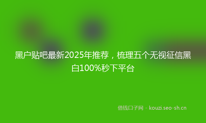 黑户贴吧最新2025年推荐，梳理五个无视征信黑白100%秒下平台