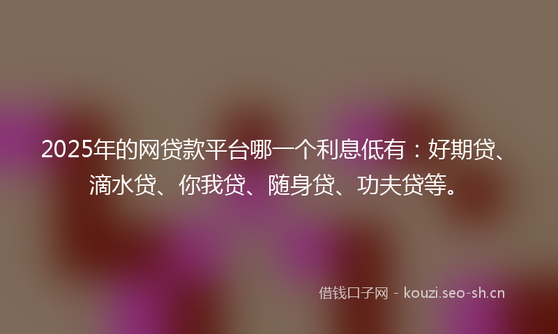 2025年的网贷款平台哪一个利息低有：好期贷、滴水贷、你我贷、随身贷、功夫贷等。
