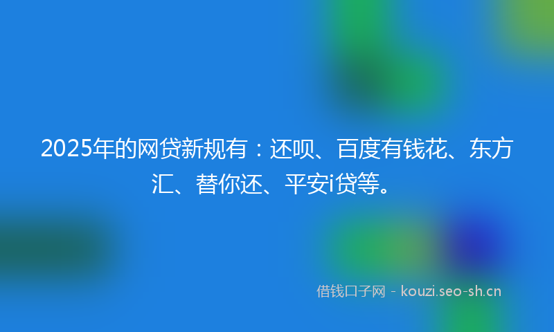 2025年的网贷新规有：还呗、百度有钱花、东方汇、替你还、平安i贷等。