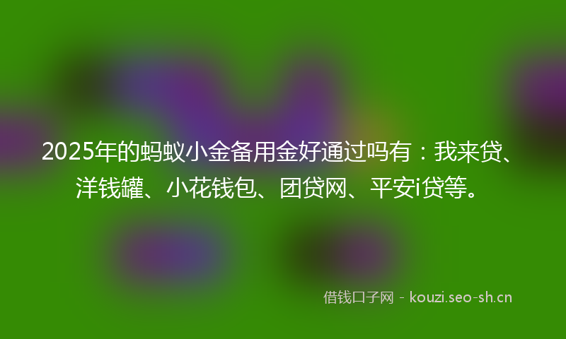 2025年的蚂蚁小金备用金好通过吗有：我来贷、洋钱罐、小花钱包、团贷网、平安i贷等。