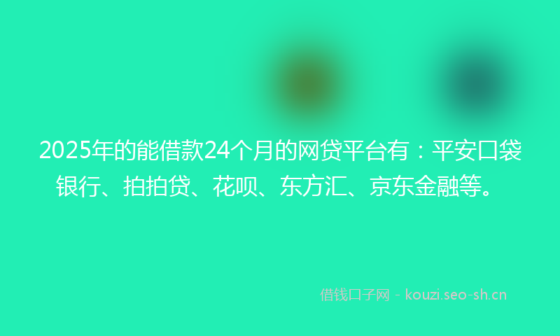 2025年的能借款24个月的网贷平台有：平安口袋银行、拍拍贷、花呗、东方汇、京东金融等。