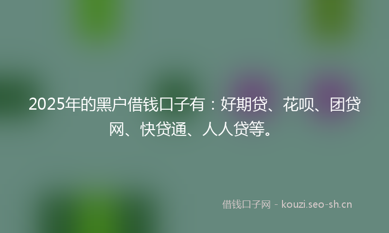 2025年的黑户借钱口子有：好期贷、花呗、团贷网、快贷通、人人贷等。