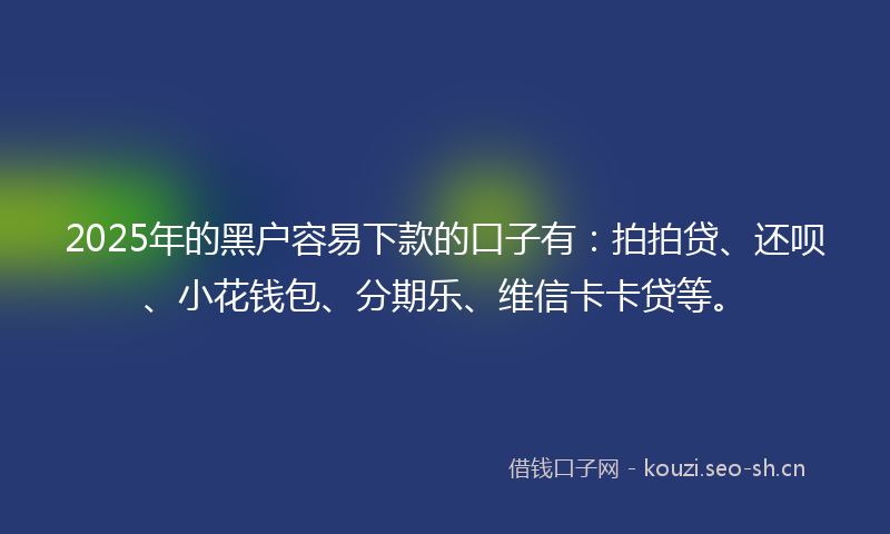 2025年的黑户容易下款的口子有：拍拍贷、还呗、小花钱包、分期乐、维信卡卡贷等。