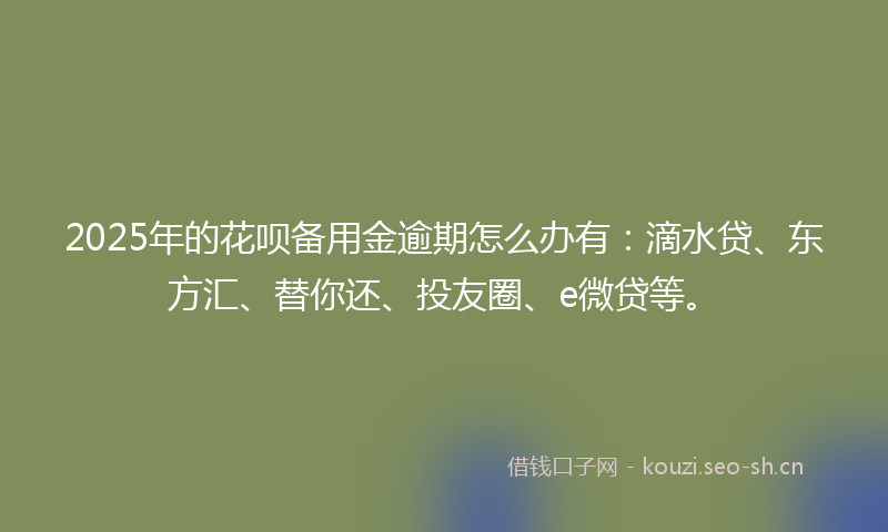 2025年的花呗备用金逾期怎么办有：滴水贷、东方汇、替你还、投友圈、e微贷等。
