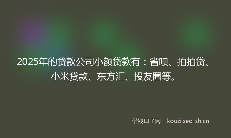 2025年的贷款公司小额贷款有：省呗、拍拍贷、小米贷款、东方汇、投友圈等。