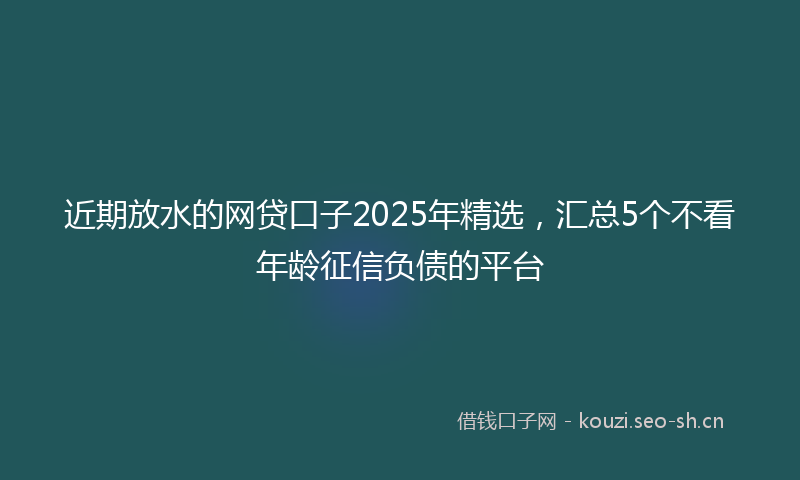近期放水的网贷口子2025年精选，汇总5个不看年龄征信负债的平台