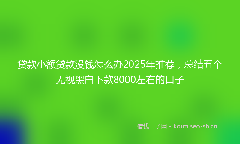 贷款小额贷款没钱怎么办2025年推荐，总结五个无视黑白下款8000左右的口子