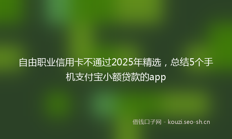 自由职业信用卡不通过2025年精选，总结5个手机支付宝小额贷款的app