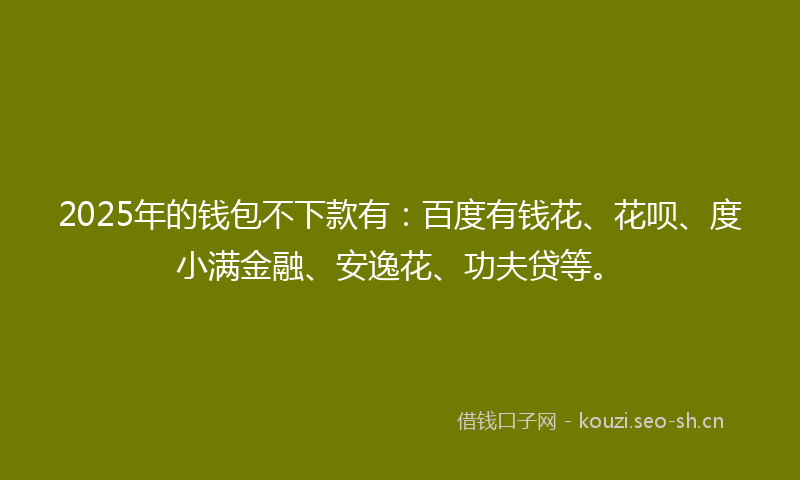 2025年的钱包不下款有：百度有钱花、花呗、度小满金融、安逸花、功夫贷等。