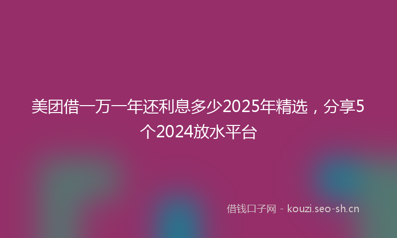 美团借一万一年还利息多少2025年精选，分享5个2024放水平台