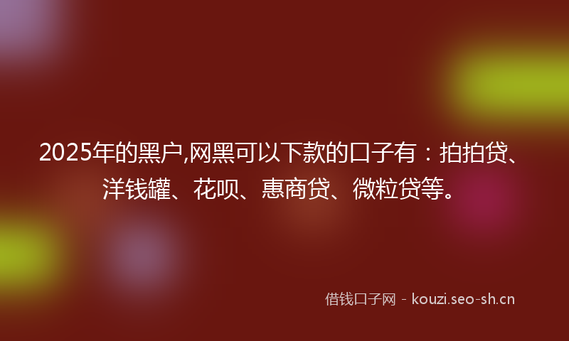 2025年的黑户,网黑可以下款的口子有：拍拍贷、洋钱罐、花呗、惠商贷、微粒贷等。