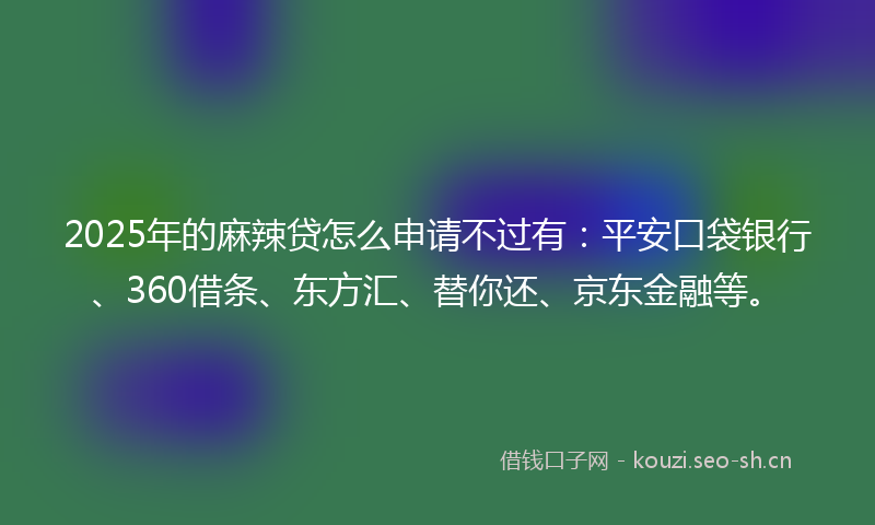 2025年的麻辣贷怎么申请不过有：平安口袋银行、360借条、东方汇、替你还、京东金融等。