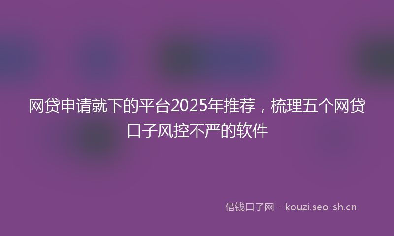 网贷申请就下的平台2025年推荐，梳理五个网贷口子风控不严的软件