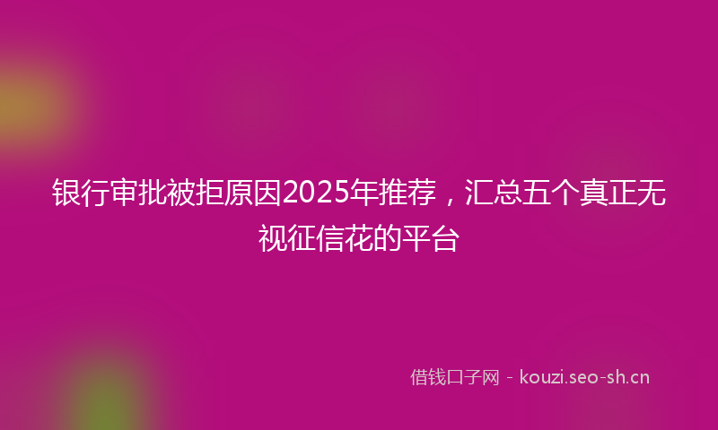 银行审批被拒原因2025年推荐，汇总五个真正无视征信花的平台