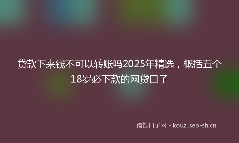 贷款下来钱不可以转账吗2025年精选，概括五个18岁必下款的网贷口子
