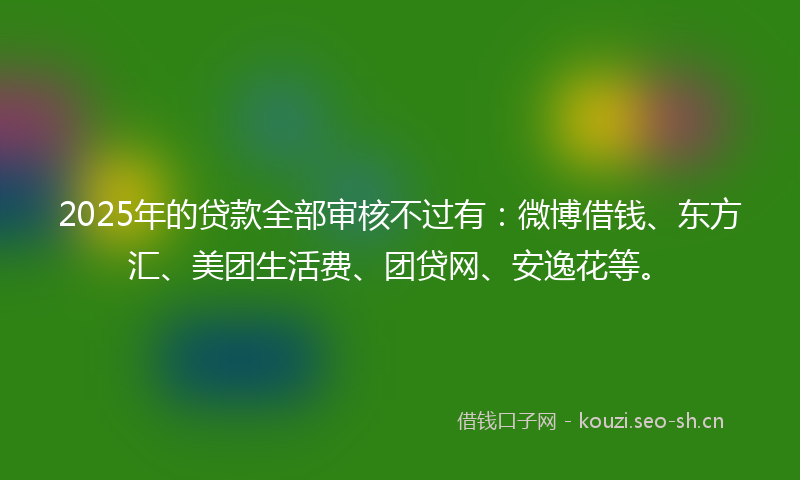 2025年的贷款全部审核不过有：微博借钱、东方汇、美团生活费、团贷网、安逸花等。