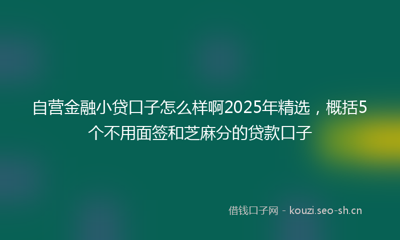 自营金融小贷口子怎么样啊2025年精选，概括5个不用面签和芝麻分的贷款口子