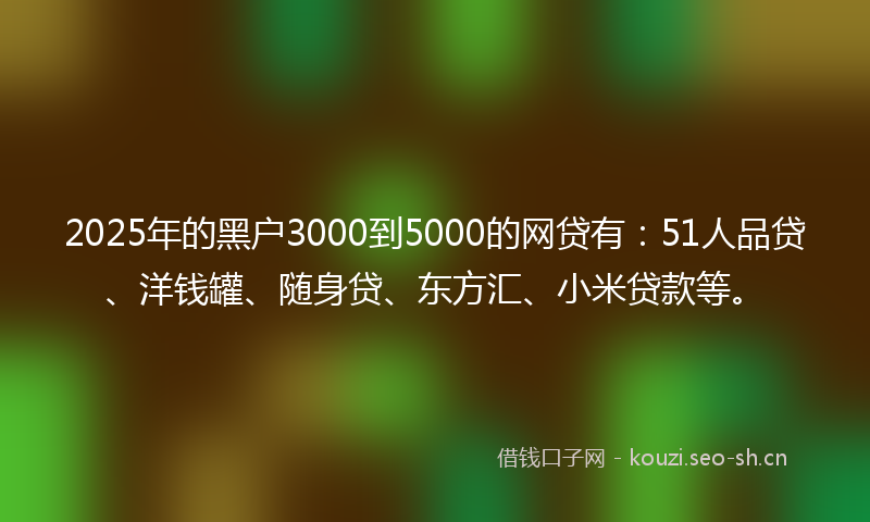 2025年的黑户3000到5000的网贷有：51人品贷、洋钱罐、随身贷、东方汇、小米贷款等。