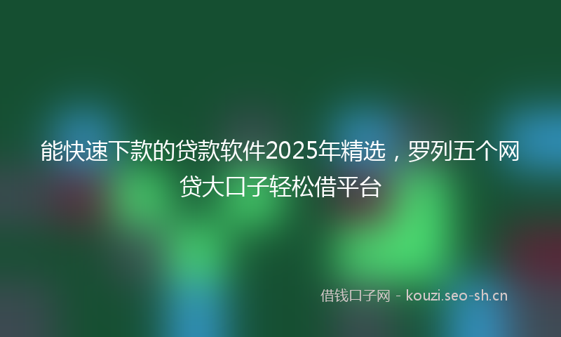 能快速下款的贷款软件2025年精选，罗列五个网贷大口子轻松借平台