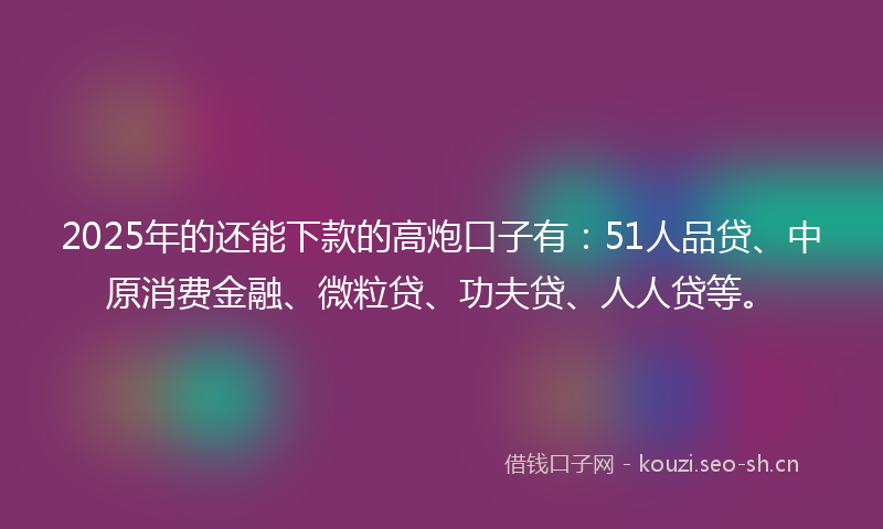 2025年的还能下款的高炮口子有：51人品贷、中原消费金融、微粒贷、功夫贷、人人贷等。