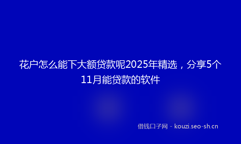 花户怎么能下大额贷款呢2025年精选，分享5个11月能贷款的软件