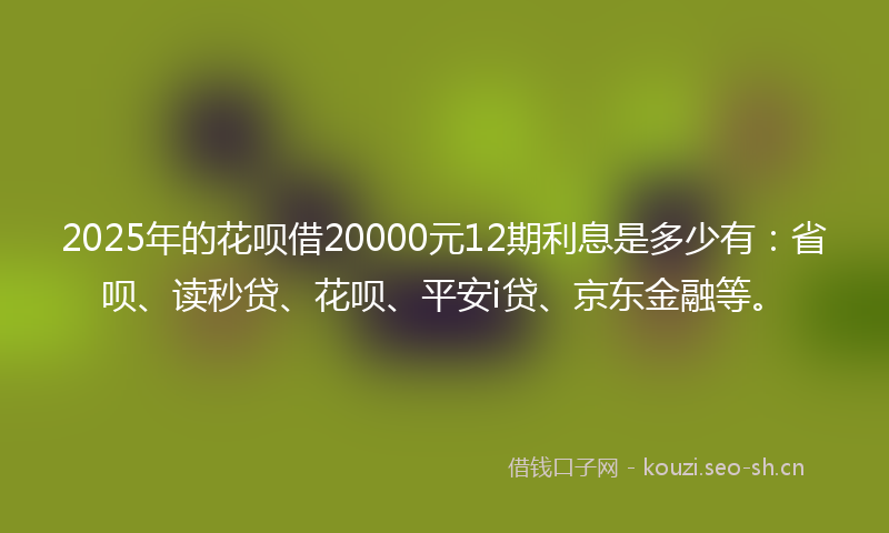 2025年的花呗借20000元12期利息是多少有：省呗、读秒贷、花呗、平安i贷、京东金融等。