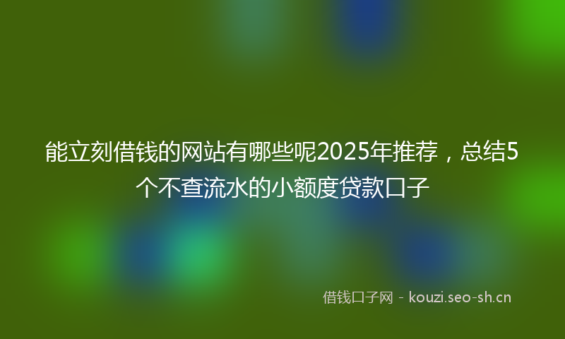 能立刻借钱的网站有哪些呢2025年推荐，总结5个不查流水的小额度贷款口子