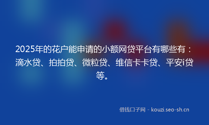 2025年的花户能申请的小额网贷平台有哪些有：滴水贷、拍拍贷、微粒贷、维信卡卡贷、平安i贷等。