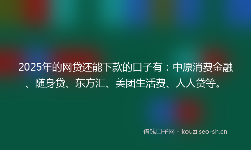 2025年的网贷还能下款的口子有：中原消费金融、随身贷、东方汇、美团生活费、人人贷等。