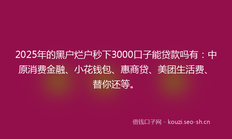 2025年的黑户烂户秒下3000口子能贷款吗有：中原消费金融、小花钱包、惠商贷、美团生活费、替你还等。
