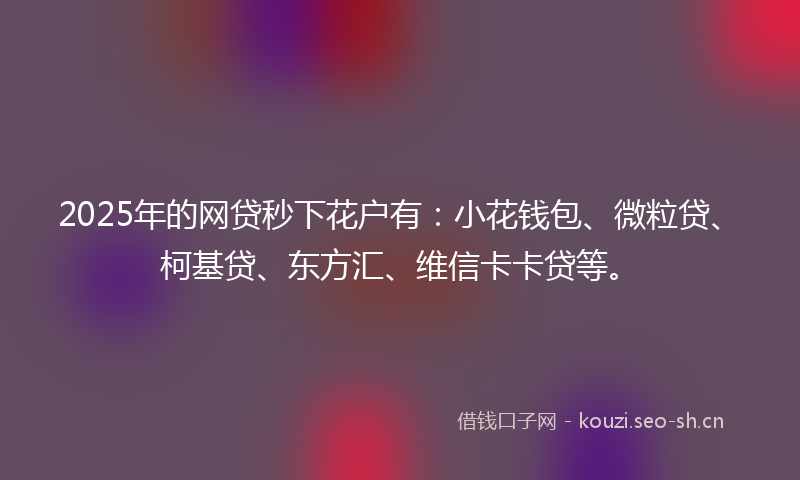 2025年的网贷秒下花户有：小花钱包、微粒贷、柯基贷、东方汇、维信卡卡贷等。