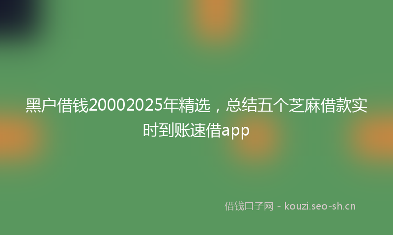 黑户借钱20002025年精选，总结五个芝麻借款实时到账速借app