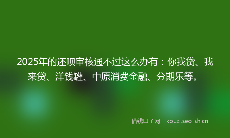 2025年的还呗审核通不过这么办有：你我贷、我来贷、洋钱罐、中原消费金融、分期乐等。