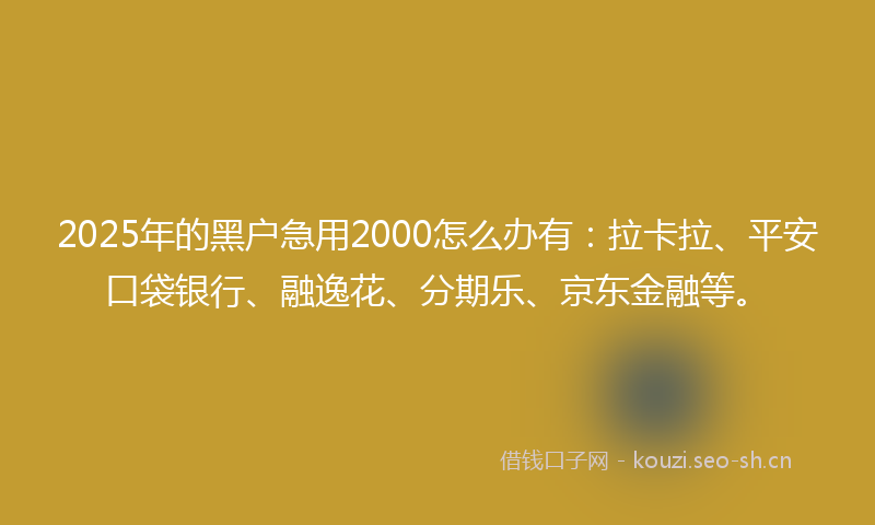 2025年的黑户急用2000怎么办有：拉卡拉、平安口袋银行、融逸花、分期乐、京东金融等。
