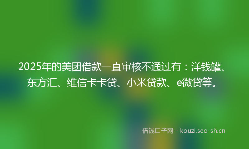 2025年的美团借款一直审核不通过有：洋钱罐、东方汇、维信卡卡贷、小米贷款、e微贷等。