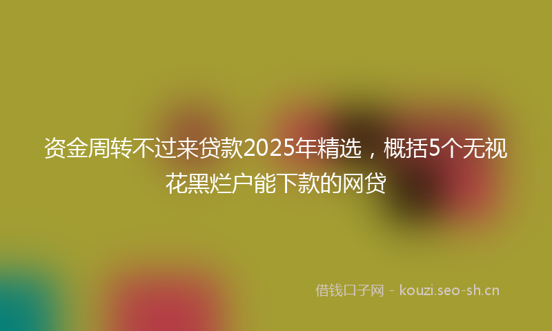 资金周转不过来贷款2025年精选，概括5个无视花黑烂户能下款的网贷