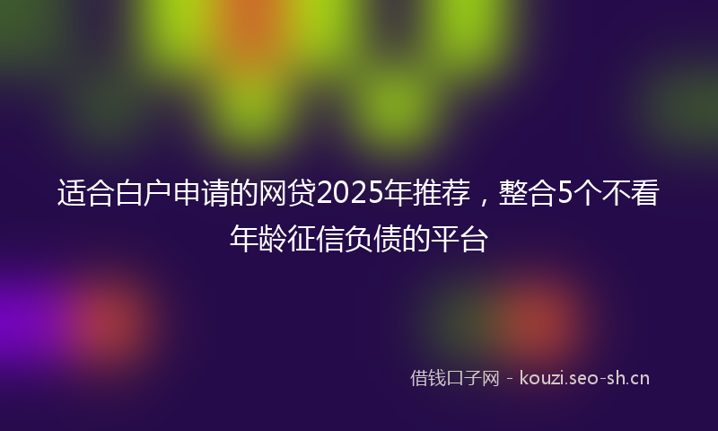 适合白户申请的网贷2025年推荐，整合5个不看年龄征信负债的平台