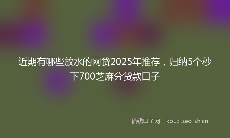 近期有哪些放水的网贷2025年推荐，归纳5个秒下700芝麻分贷款口子