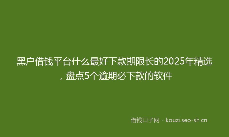 黑户借钱平台什么最好下款期限长的2025年精选，盘点5个逾期必下款的软件