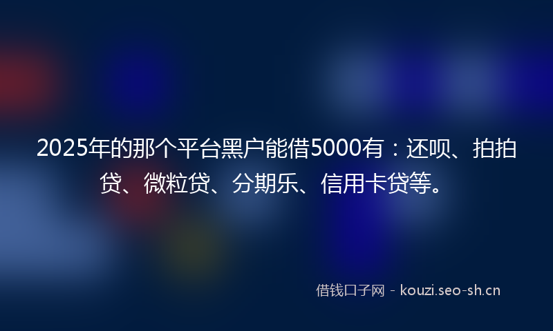 2025年的那个平台黑户能借5000有：还呗、拍拍贷、微粒贷、分期乐、信用卡贷等。