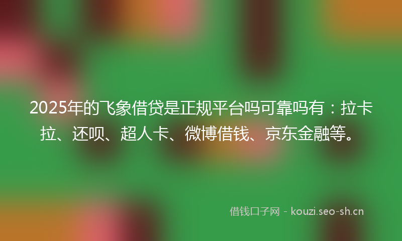 2025年的飞象借贷是正规平台吗可靠吗有：拉卡拉、还呗、超人卡、微博借钱、京东金融等。