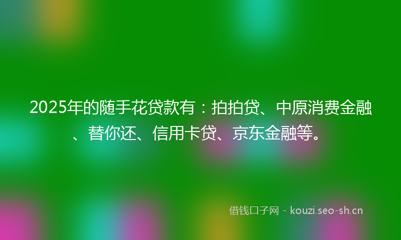 2025年的随手花贷款有：拍拍贷、中原消费金融、替你还、信用卡贷、京东金融等。