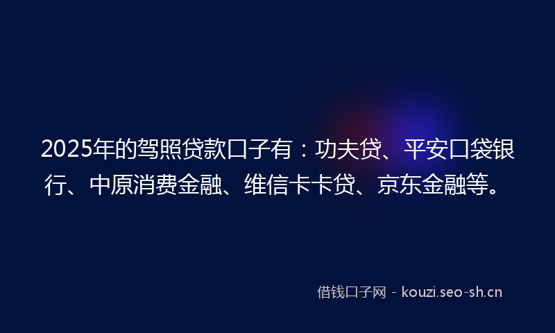 2025年的驾照贷款口子有：功夫贷、平安口袋银行、中原消费金融、维信卡卡贷、京东金融等。