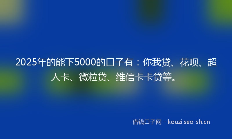 2025年的能下5000的口子有：你我贷、花呗、超人卡、微粒贷、维信卡卡贷等。